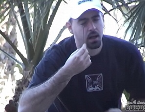 031005_spring_break_at_bar_louies_wild_wet_tshirt_contests_and_clubbing_hot_girls_flashing