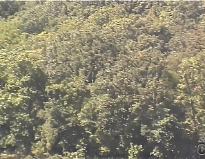 090108_behind_the_scenes_with_wild_party_girls_naked_in_public_at_ozarks_party_cove