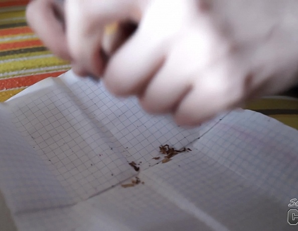 On Vacation with Some Hot Models at a Music Festival and the Hot Blonde Samanta Masturbates